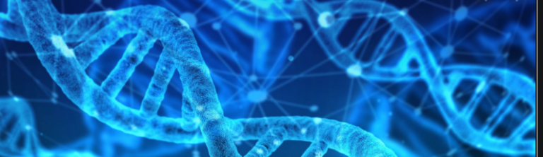 image of DNA