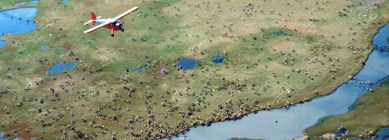 A small plane flying over a remote Alaskan area