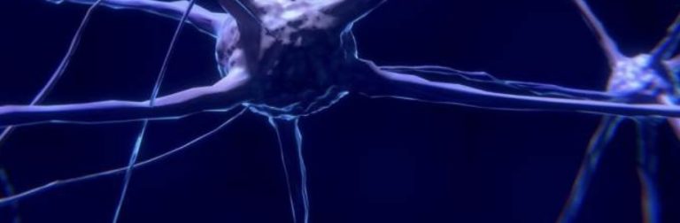 Image of a brain neuron