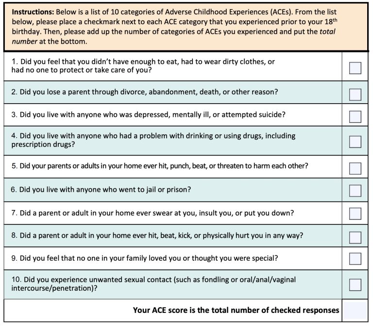 The adverse childhood experiences survey