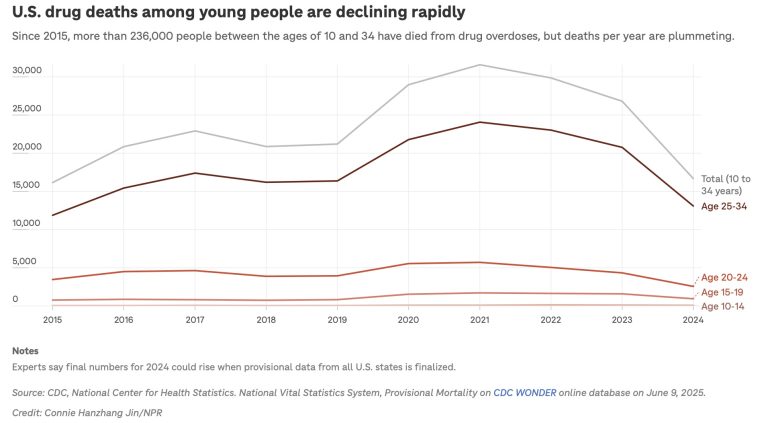 Line graph showing changes in opioid overdose deaths by age group and by year through 2024