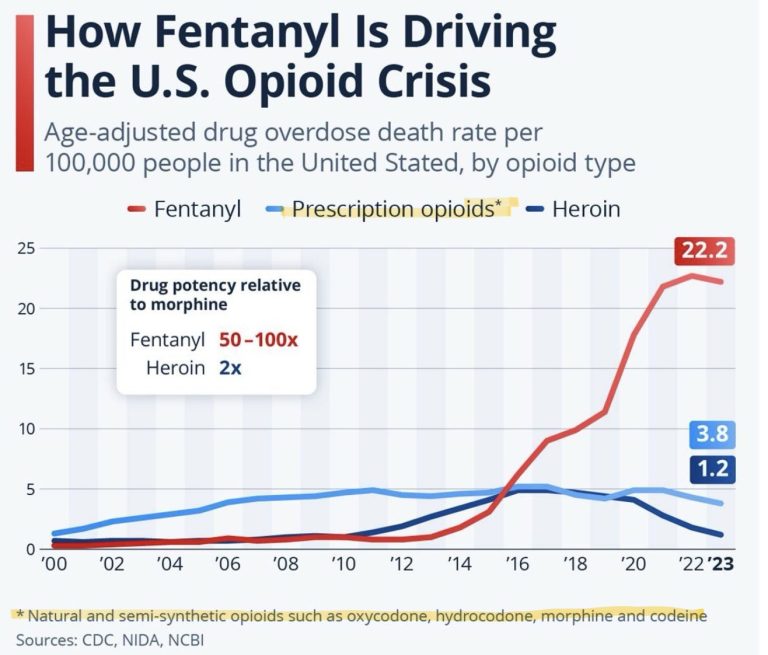 Line graph of deaths related to different types of opioids over years