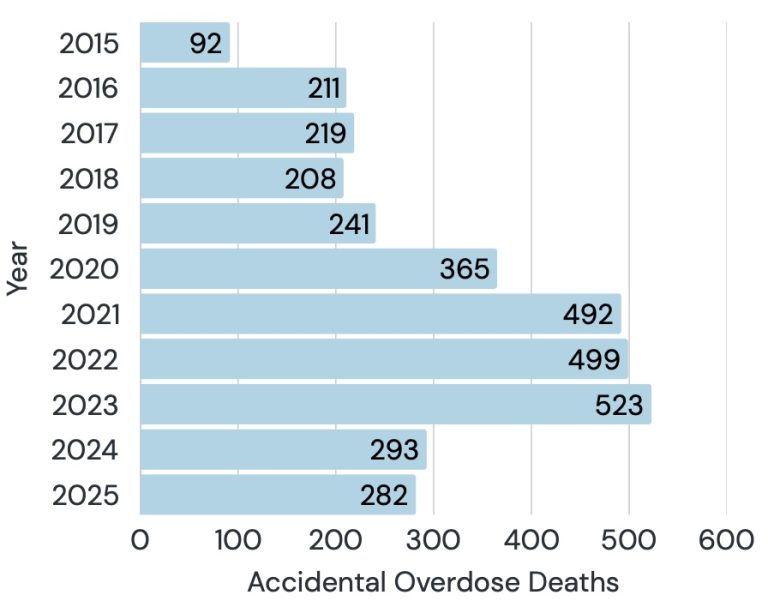 Bar graph of accidental drug overdose deaths per year in New Orleans