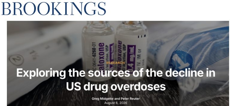 Brookings research article title